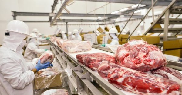 Vývoz hovězího masa roste po třetím čtvrtletí - Mercopress 1 Vývoz hovězího masa roste po třetím čtvrtletí - Mercopress