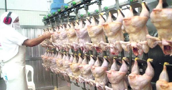 Paraguay dokončila svou první dodávku drůbežího masa na Filipíny